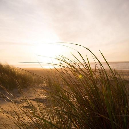 Grosse Nordseewelle Ohne Hund Norden Ngoại thất bức ảnh