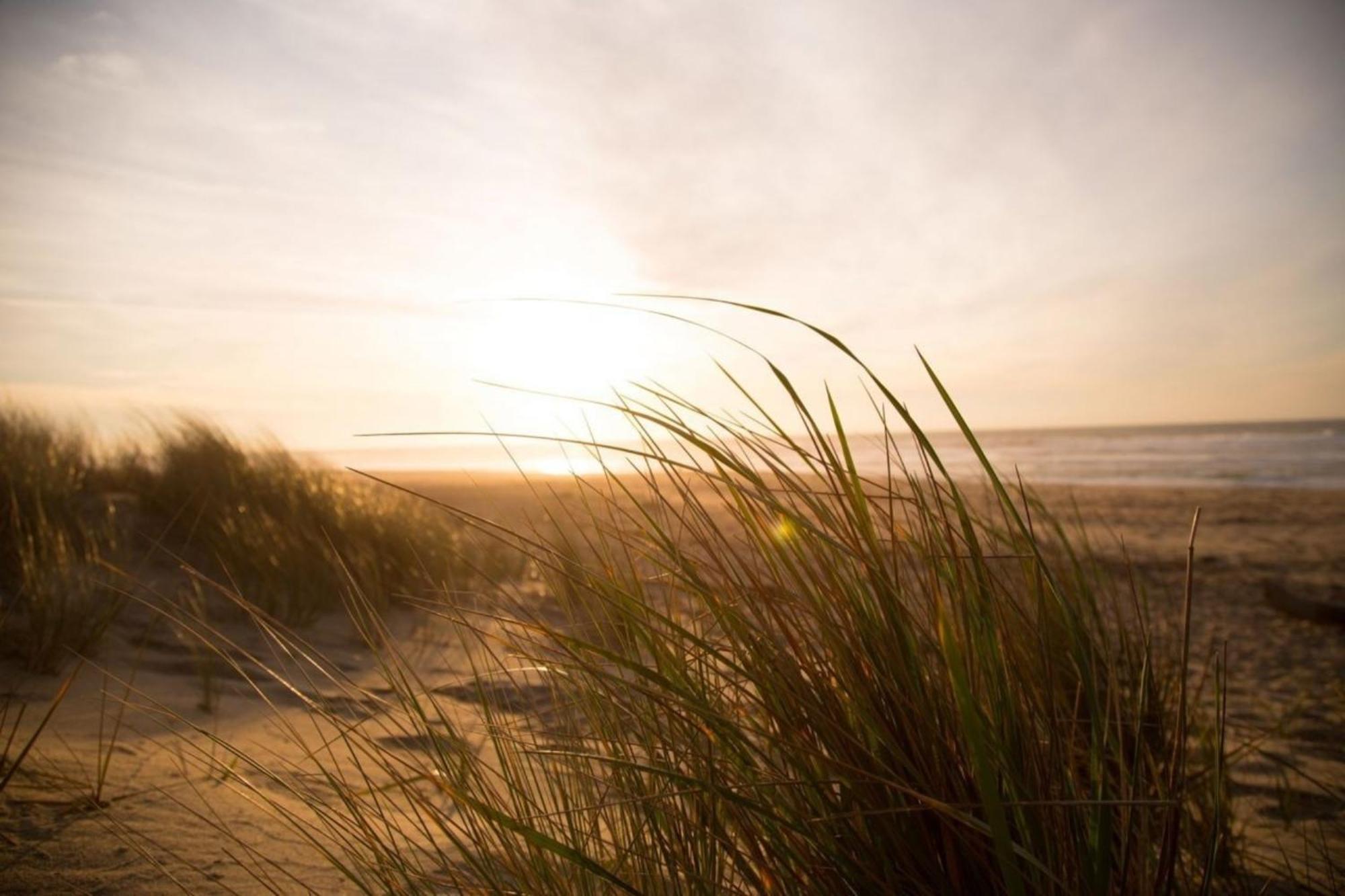 Grosse Nordseewelle Ohne Hund Norden Ngoại thất bức ảnh