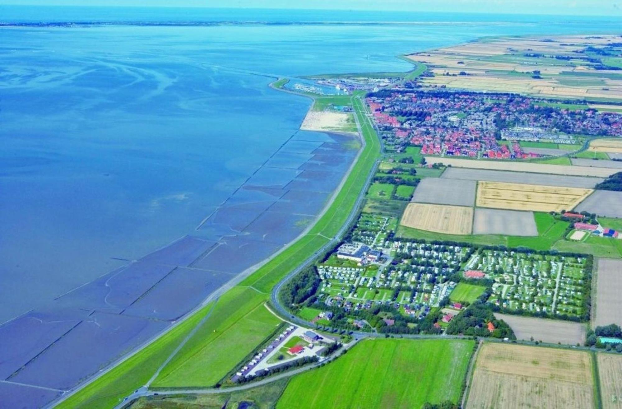 Grosse Nordseewelle Ohne Hund Norden Ngoại thất bức ảnh